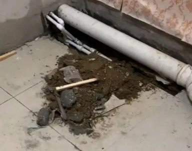 织金卫生间漏水检测哪家好