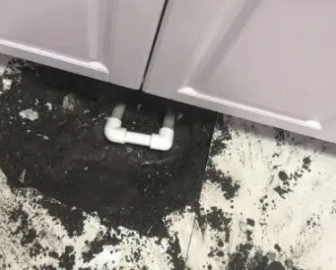 织金查漏水哪家好